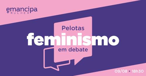 Luciana Genro debate feminismo na Câmara de Pelotas