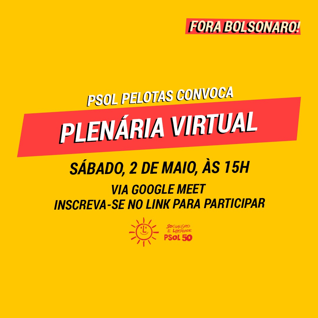 Plenária Virtual do PSOL Pelotas 02/05
